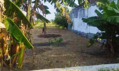 Tanah Strategis Raya Balongpanggang Gresik Cocok untuk Usaha Komersial