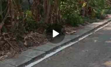 dijual tanah kedungwinong meteseh