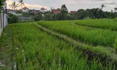 Jarang Ada Lokasi Central Canggu, Pinggir Jalan tidak Masuk Gang