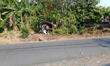 dijual tanah kelating tabanan bali