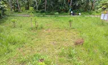 Tanah Dijual di KELURAHAN KEDAYUNAN KEC. KABAT KAB. BANYUWANGI