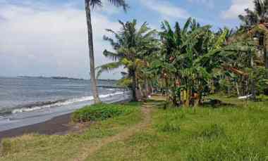 Tanah Dijual di kelurahan Klatak, kecamatan Kalipuro, kabupaten Banyuwangi