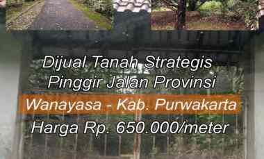Dijual Tanah SHM Sangat Strategis Berada di Pinggir Jalan Wanayasa