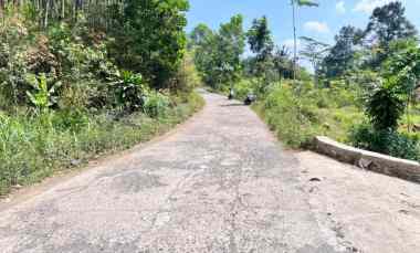 Tanah View Istimewa Hamparan Kebun Teh Kemuning Karanganyar