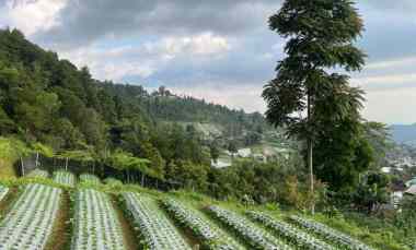 Tanah Cocok Dibangun Caf, Glamping, dll Kemuning Karanganyar