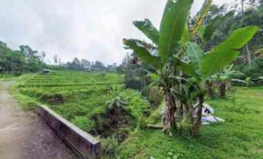 Tanah Kawasan Wisata Kemuning Cocok untuk Villa Udara Dingin
