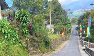 Tanah Kawasan Kebun Teh Kemuning Ngargoyoso Karanganyar