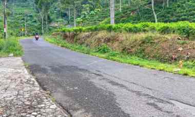 Tanah View Kebun Teh 450m dekat Jembatan Kaca Kemuning Karanganyar