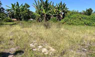 Tanah Strategis 930m Tepi Jalan Raya Ngargoyoso Karanganyar