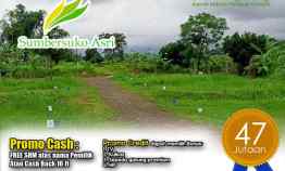Super Promo Kavling Sumber Suko Asri hanya 60 Jutaan Bonus TV, Kulk