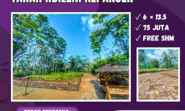 Tanah Dijual di Ndilem Kepanjen Malang