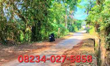 Dijual Tanah 1462 m2 dekat jl Ida Bagus Mantra Keramas Blahbatuh Gianyar