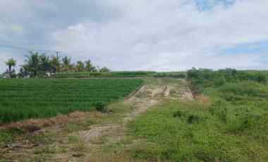 Dijual Tanah View Sawah dan Sungai di Kerambitan Tabanan Bali