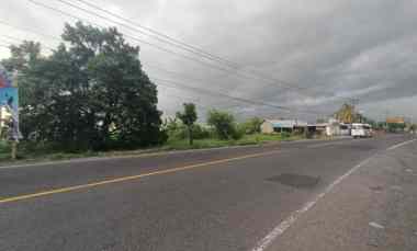 Tanah di Jalan Utama Denpasar Gilimanuk dekat Astra Daihatsu