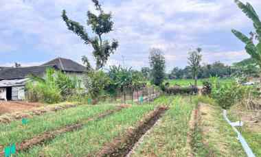 Tanah Subur 1500m2 Tepi jl Raya Kemuning-Batujamus Karanganyar