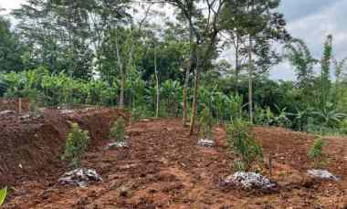 Tanah Kebun Alpukat Bonus Rumah 2216m2 Kerjo, Karanganyar