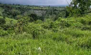 Tanah Dijual di Kintamani, Bangli, Bali