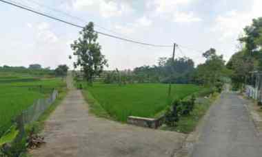 Sawah Produktif,air Lancar Samping Pemukiman Warga,depan Kampung Warga