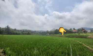 Dijual - Tanah Komersial Jalan Nasional Tabanan Bali