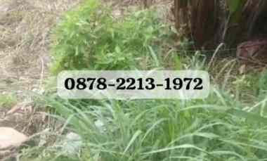 dijual tanah komplek bojongkoneng cikutra