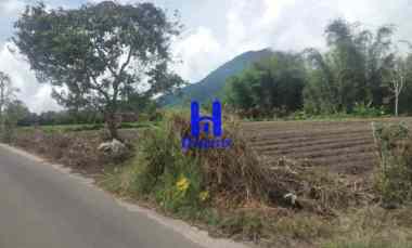 Dijual Tanah Kosong di Daerah Tanjung Barus - Berastagi