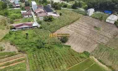 Dijual Tanah Kosong di Jalan Petunia Raya - Namu Gajah