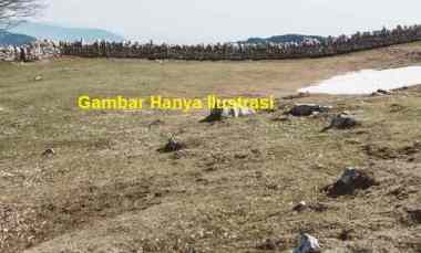 Tanah Dijual di Jl. Muara Bahari II, Sunter Agung, Tanjung Priok, Jakarta Utara