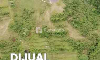 Jual Murah Tanah SHM 6 Hektar Cocok untuk Perumahan Perkebunan