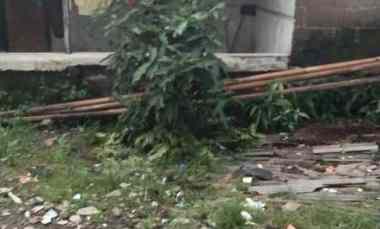 Dijual Rumah Kampung di Kp Legon Jatimulya Tambun Selatan