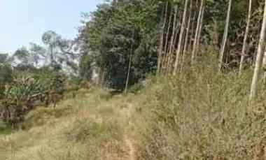 dijual tanah kp nagrak derwati