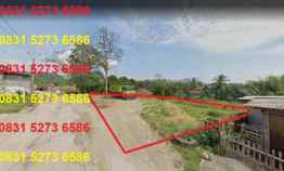 Dijual Tanah jl Raya Lebakwangi Sudamanik Parung Panjang Cigudeg Bogor