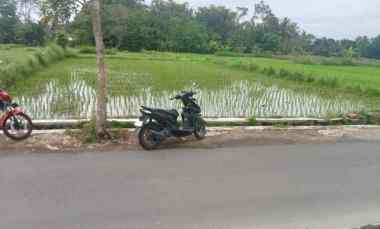 Tanah Sawah Strategis Selatan Puskesmas Manisrenggo Klaten
