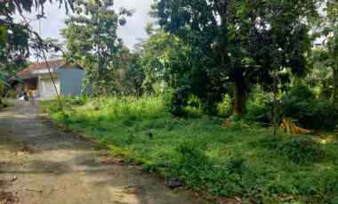 Dijual Tanah Kebun Mangga Pinggir jl Pinggir Rumah Penduduk