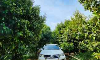 Tanah Dijual di Leuwiliang, Pangaradin