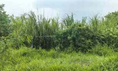 dijual tanah lingkar timur