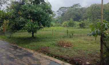 Tanah Dijual di Kamarang