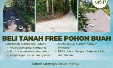 Investasi Masa Depan dengan Tanah Pekarangan Dijamin Untung
