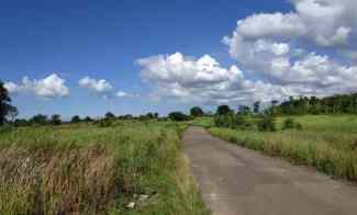 Tanah SHM Murah Cocok Dibangun Perumahan atau Pesantren di Taktakan