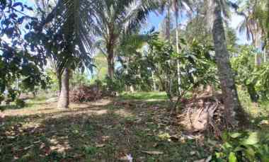 Dijual Tanah Luas Besar Los Sungai View Perbukitan