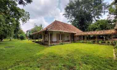 Dijual Tanah Luas Bonus Rumah dekat Ugm