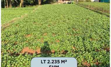 Dijual Cepat Tanah Dibawah NJOP Pinggir Jalan Raya dan Strategis