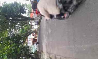 Dijual Tanah Luas Empat Hektar di Kota Bogor