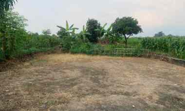 dijual tanah luas murah