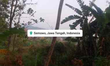 Tanah Dijual di Macanan Semowo Kab Semarang