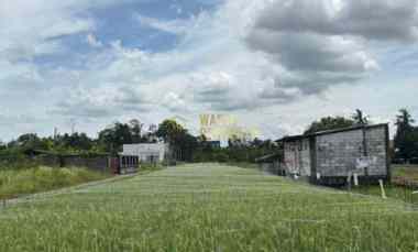 Dijual Tanah dalam Ringroad Maguwo View Sawah dan Gunung Merapi