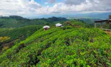 dijual tanah majalengka