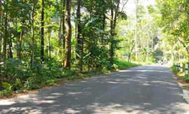 Dijual Tanah Mangku Jln Raya Prambanan - Glagaharjo