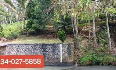 Dijual Tanah 90 are di Manikyang Selemadeg Tabanan Bali