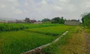 Anah Strategis 700m Timur SPBU Manisrenggo SHM, Harga all in