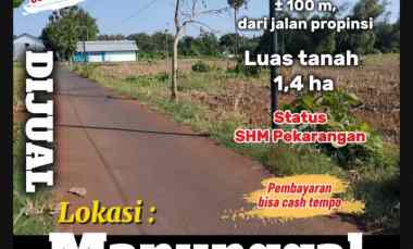 Tanah Dijual di Manunggal